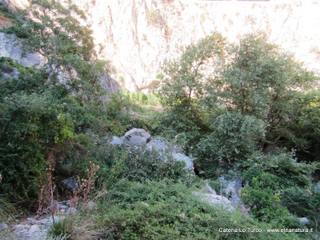 stoleone-31-08-2015 09-08-39